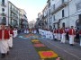 infiorata (119)
